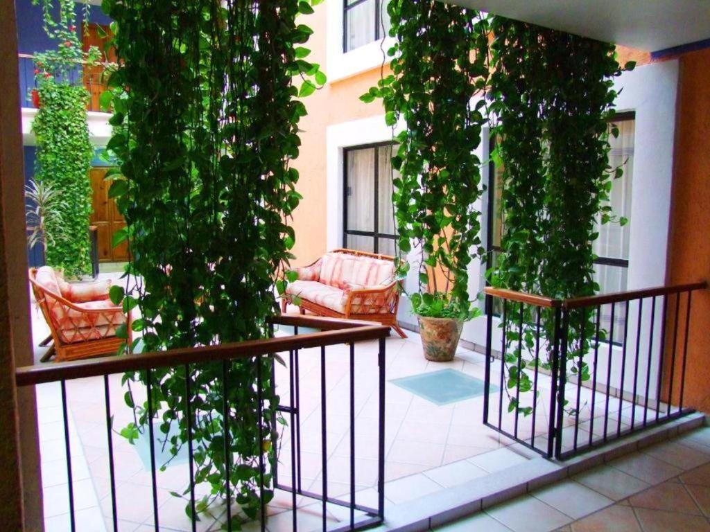 Hotel Oaxaca Dorado Zewnętrze zdjęcie
